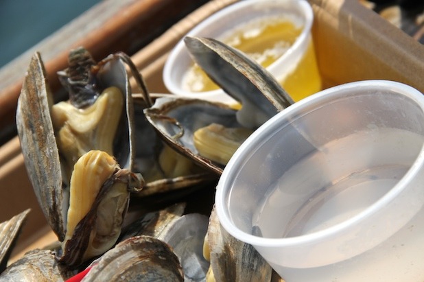 Clams, Mussels, Crabs and Fish